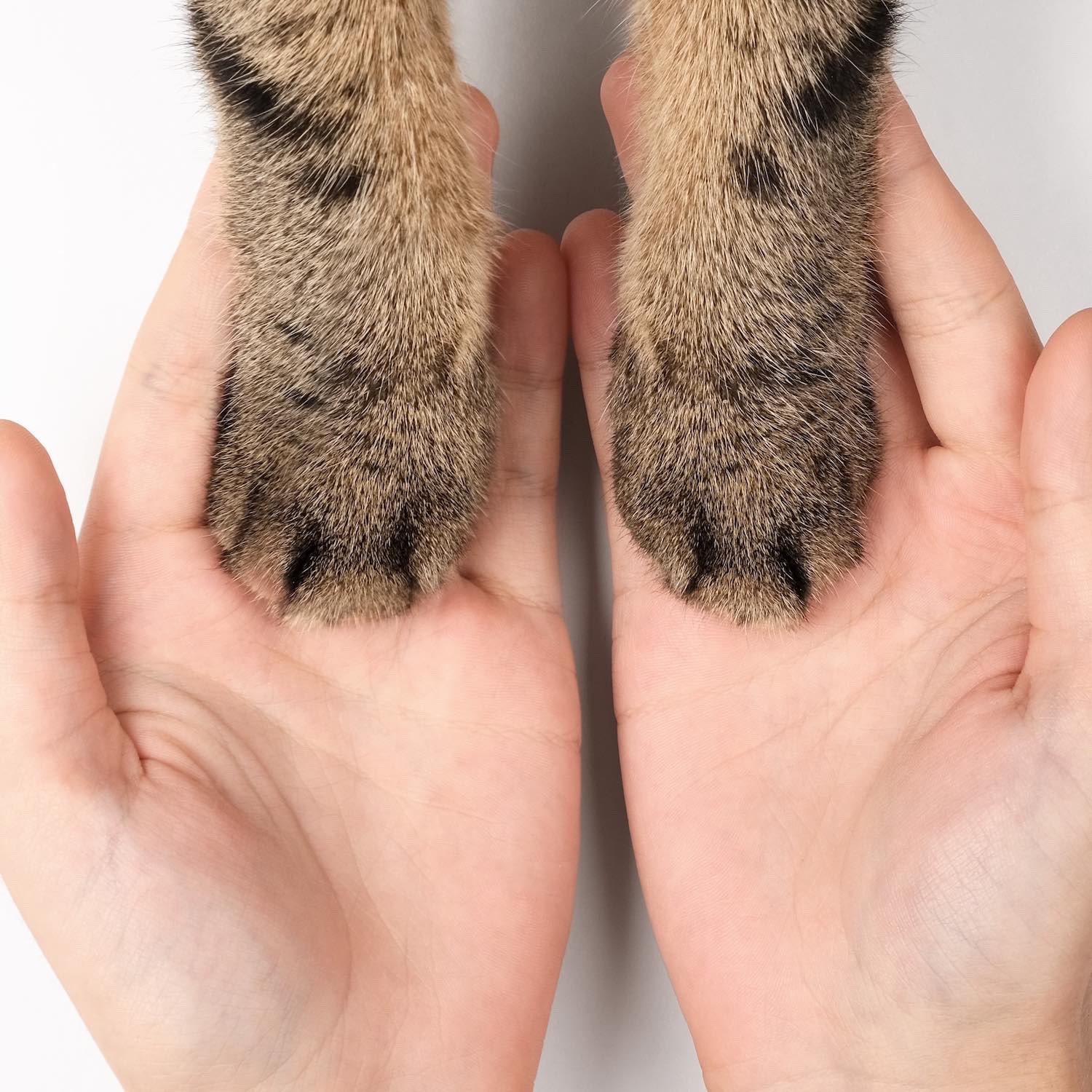 Produits-veterinaires-pharmacie-du-frayol-le-teil Produits-veterinaires-pharmacie-du-frayol-le-teil